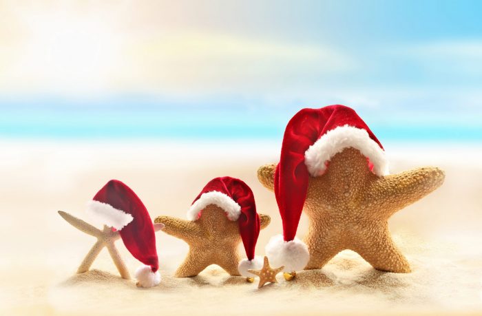 Three starfish on a sandy beach wearing Santa hats, with the largest in the center and smaller ones on the sides, under a soft, dreamy sky wish everyone a Merry Christmas.