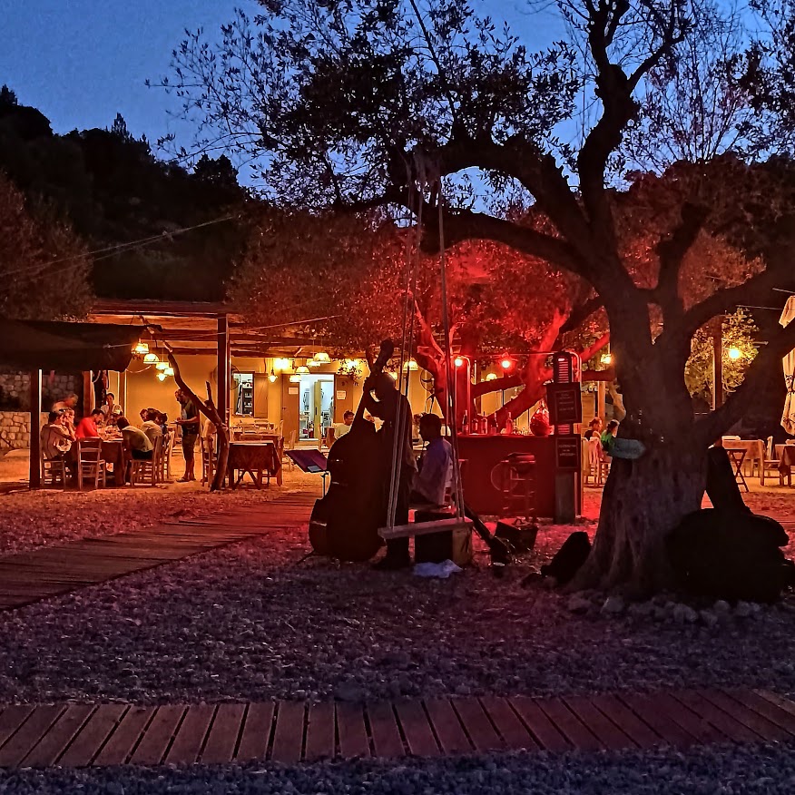Kirki's in Filatrou Ithaca, A cosy outdoor restaurant at dusk with warm fairy lights, people dining, and a silhouette of a musician playing a double bass near a tree sets the scene—a relaxed, inviting atmosphere reminiscent of a fortnight down south.